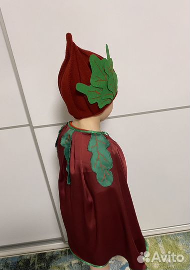 Костюм свеклы