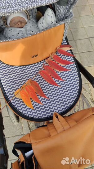 Коляска Anex sport 3 в 1