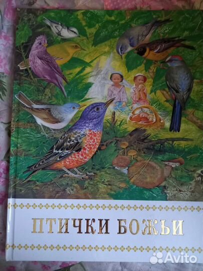 Книга Птички Божьи