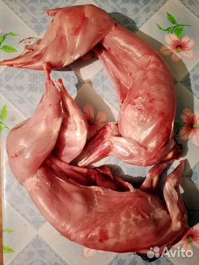 Мясо кролика