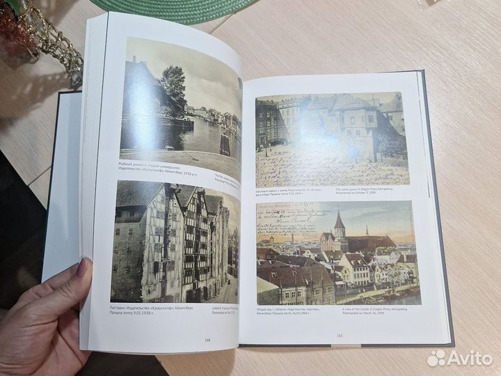 Музей как феномен культуры. Фридландские ворота