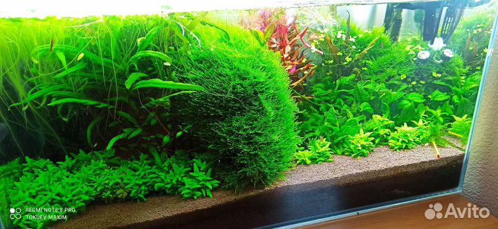 Аквариум с тумбой 130 литров