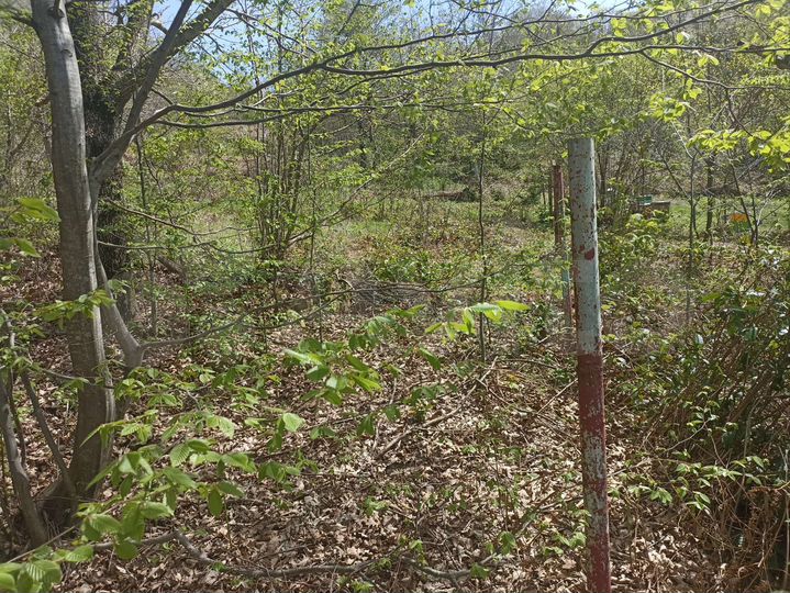 Участок 5 сот. (СНТ, ДНП)