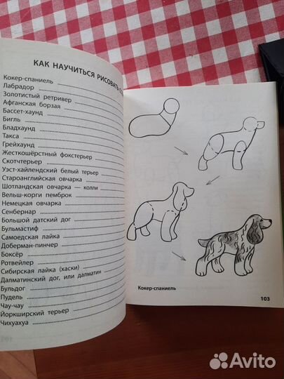 Книга Рисование первые шаги