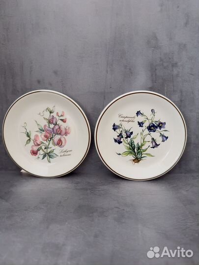 Villeroy boch тарелки