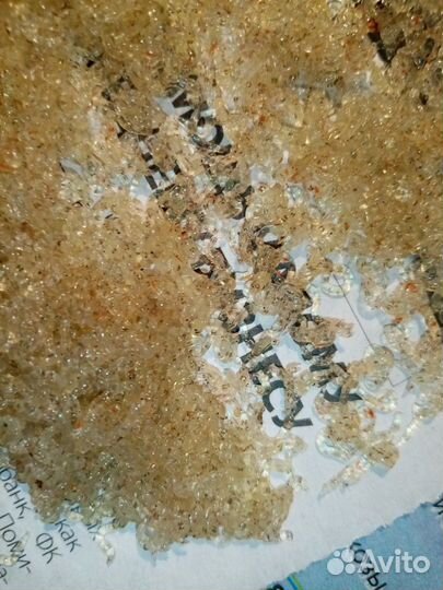 Коретра живая и замороженная