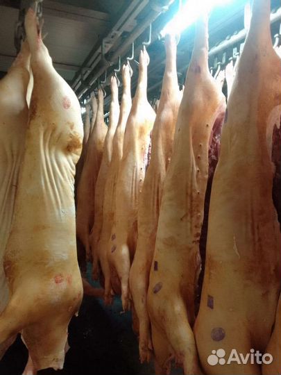 Мясо свинина в полутушах, а так же запчасти