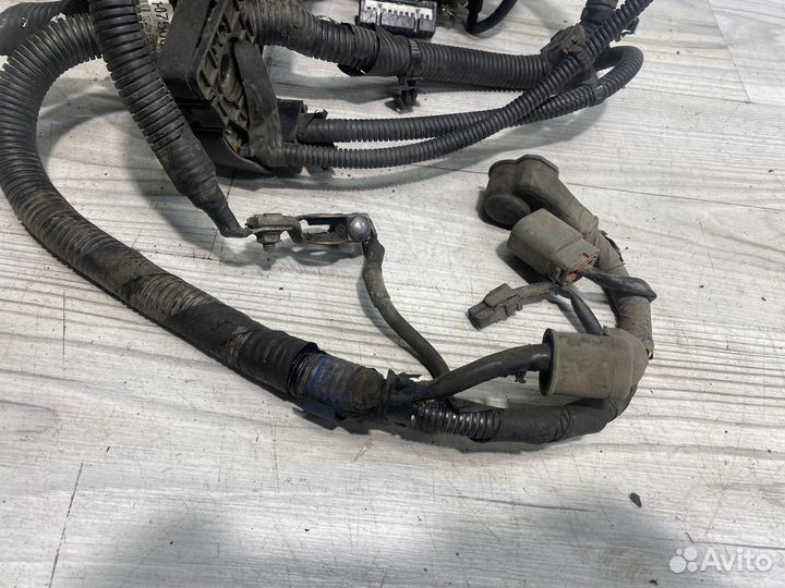 Проводка моторного отсека KIA Picanto 2004-2011