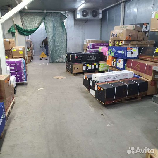 Цветы розы экзотика оптом