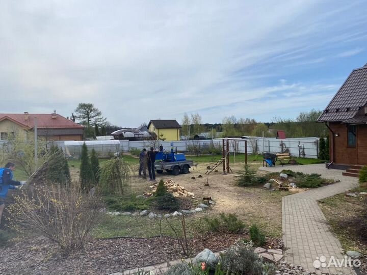 Измельчитель веток. Аренда. Дробилка