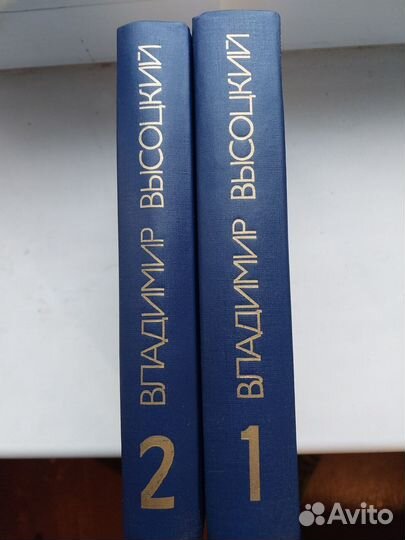 Книги высоцкий