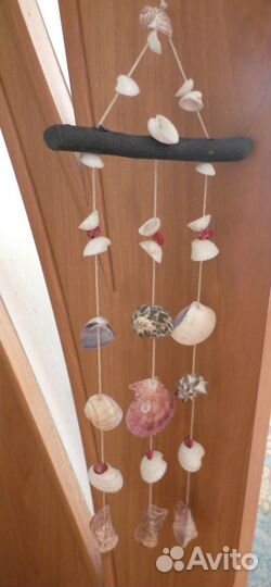 Морские ракушки раковины