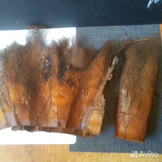 Кора пальмы