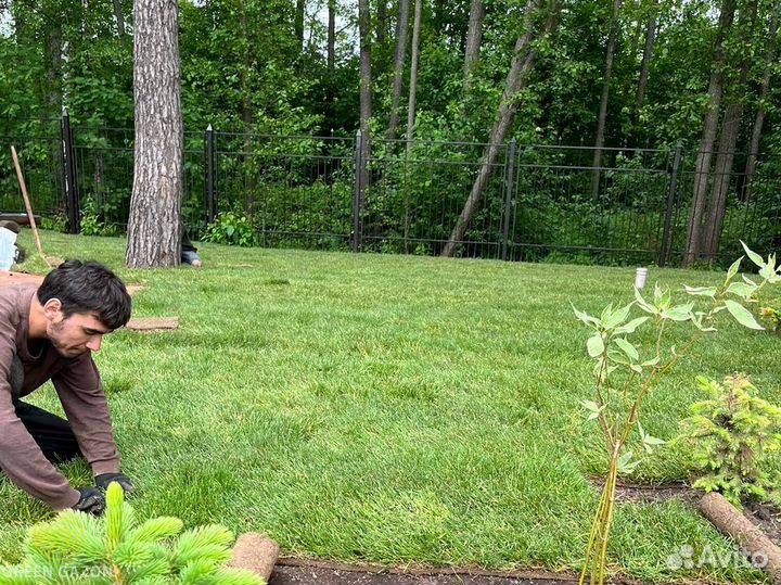 Рулонный газон в наличии под ключ