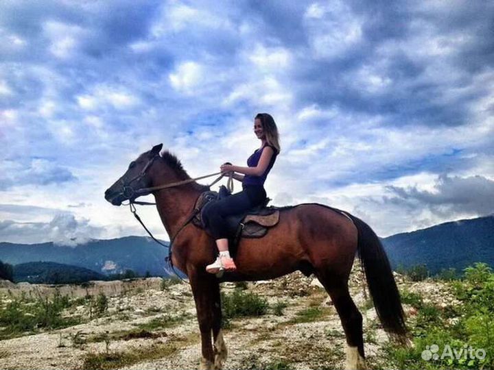 Тур - Конные прогулки