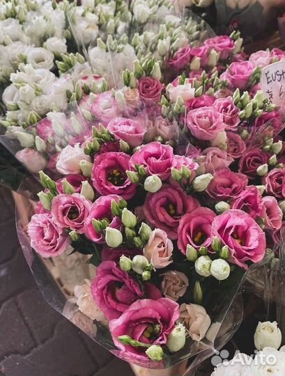 Лизиантус букет, цветы эустома