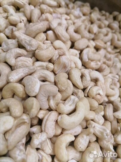 Кешью Свежий оптом