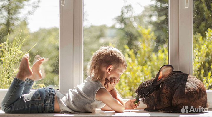 Пластиковые окна более 200 расцветок