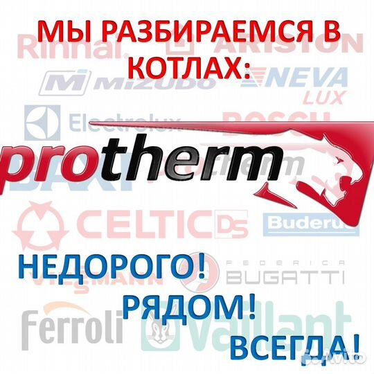 Запчасти для котлов Protherm (Протерм)