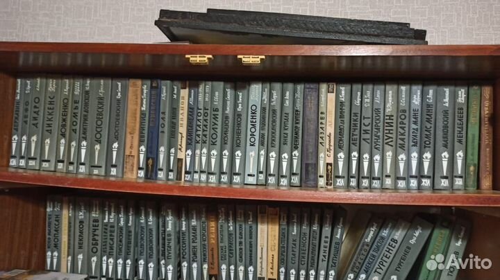 Сборник книг серии жизнь замечательных людей жзл