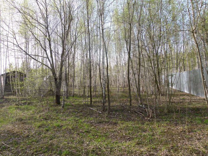 Участок 12,8 сот. (СНТ, ДНП)