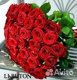 25 роз с доставкой