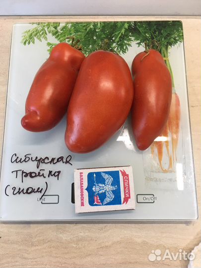 Семена томатов (Гномы)