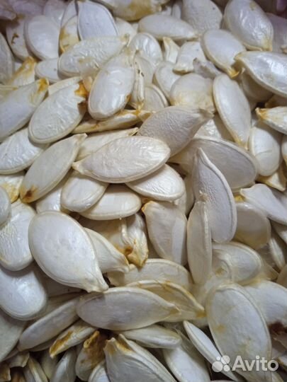 Тыквенные семечки неочищенные