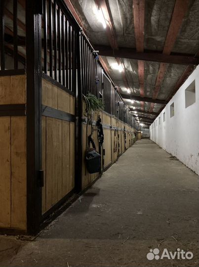 Постой в конюшне, аренда денника