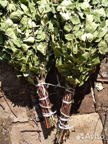 Веники из берёзы