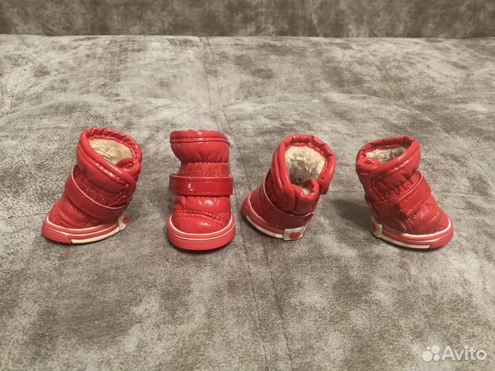 Зимняя обувь для мелких собак Petmax 2 размер