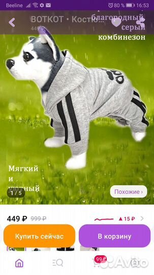 Продам костюм на девочку мини той-терьера