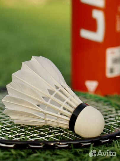 Воланы перьевые для бадминтона Li-Ning G800