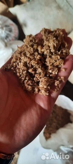 Пивная дробина