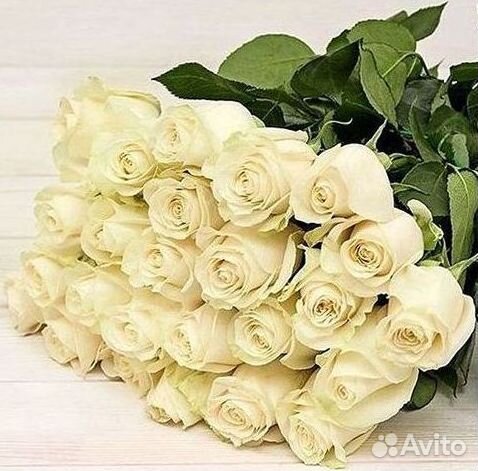 Метровые розы Доставка цветов