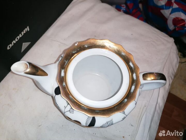 Чайник вербилки. Золотая роза