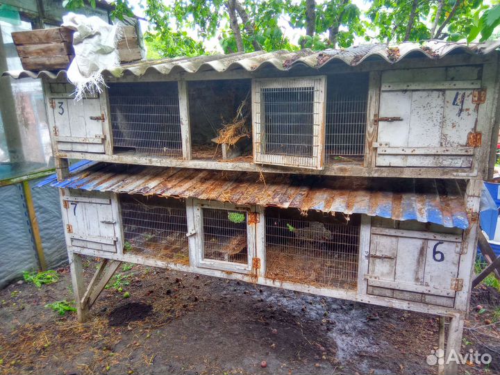 Клетка для кроликов