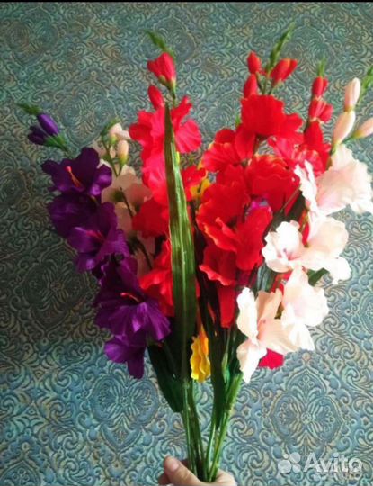 Цветы гладиолусы декоративные