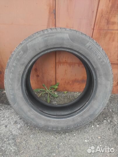 Pirelli Cinturato P1 185/65 R15
