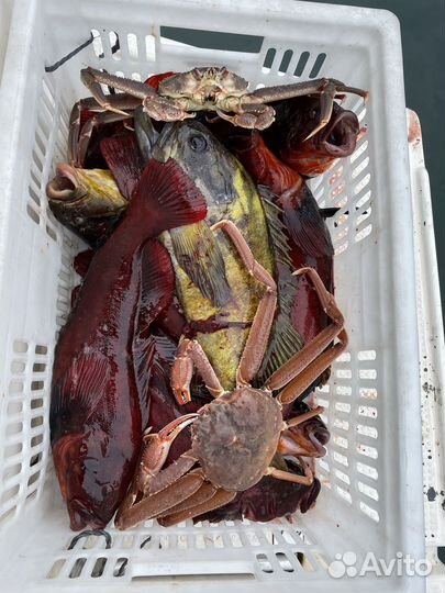 Морская прогулка рыбалка