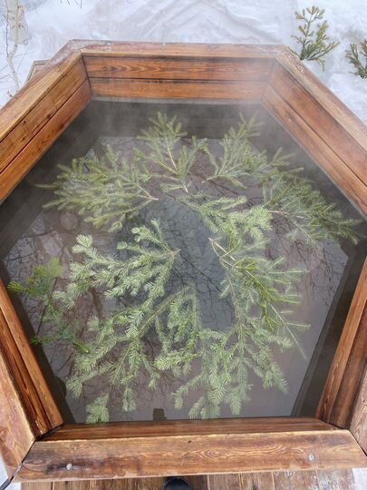 Дом 38 м² на участке 16 сот.