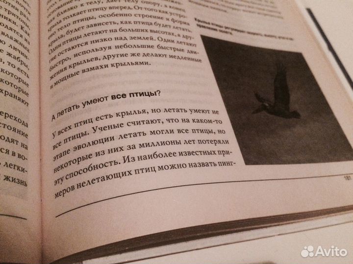 Энциклопедии школьника(2 книги) Ответы для почемуч