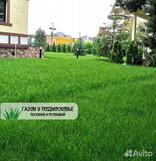 Газон. Рулонный газон