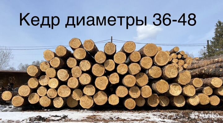 Лес круглый кедр