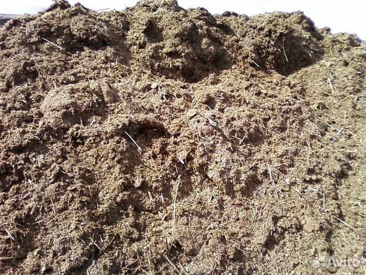 Конский навоз, коровий навоз,перегной, сыпец