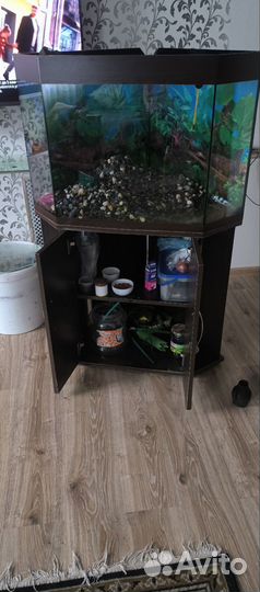 Аквариум