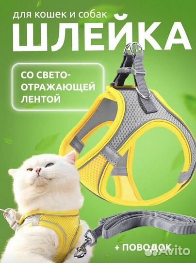 Шлейка с поводком