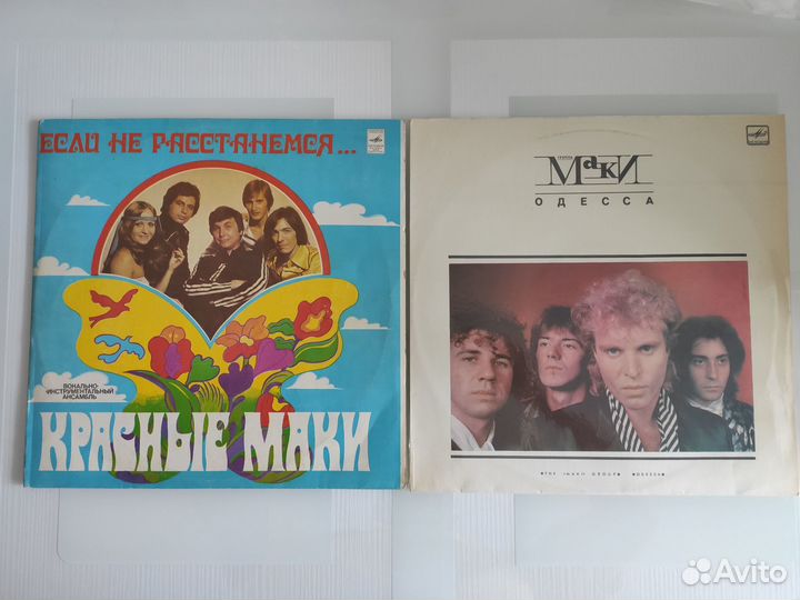 Красные маки