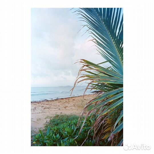 Плёночный фотоаппарат Konica MT-100