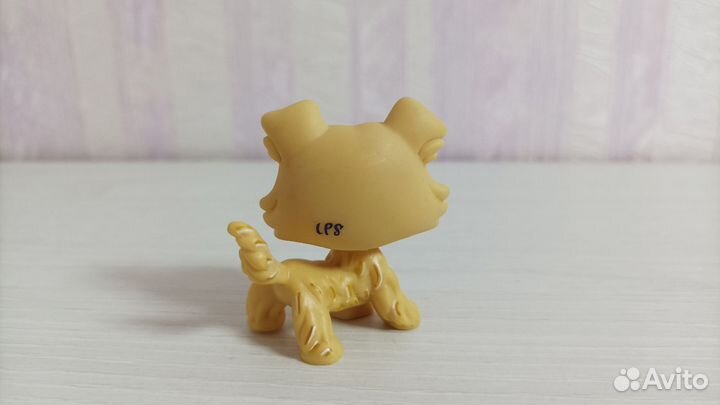 Прототип колли littlest pet shop lps лпс